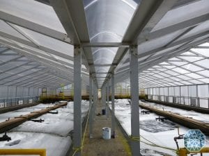 Aplicaciones del policarbonato en la construccion